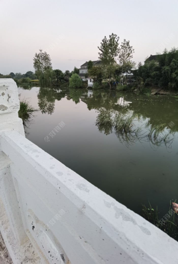 鳑鲏|大河鱼难钓,小河抽白条