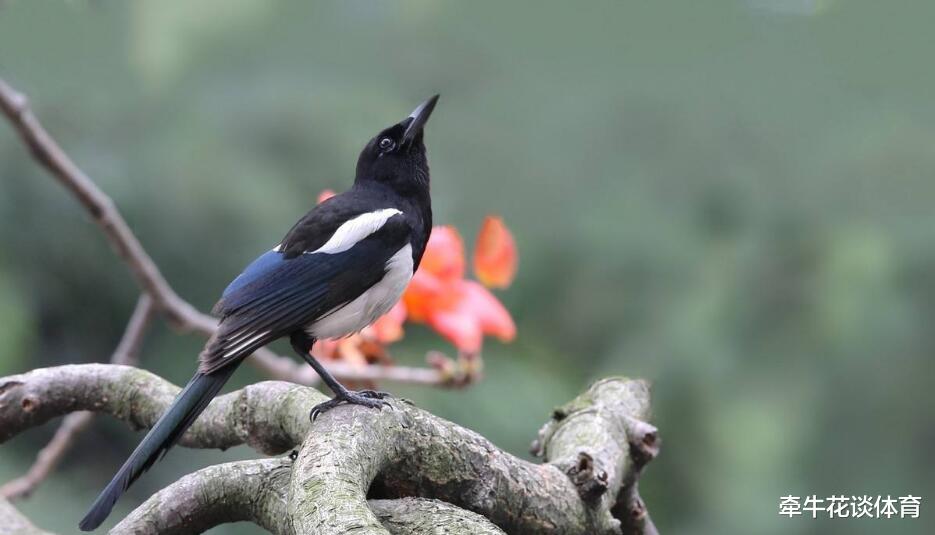 「运势」恭喜！6月23号，财神降喜，运势注定红火的生肖，金库暴涨