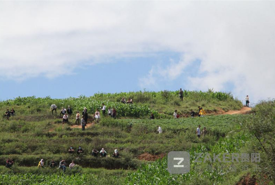 [贵州]真相来了！贵州威宁山中发出不明声源的原来是它