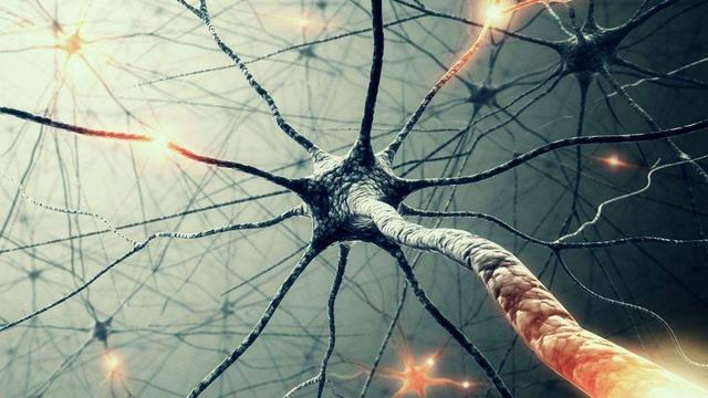 医生|人类大脑里面，可能深藏着一套比意识更为智能系统！