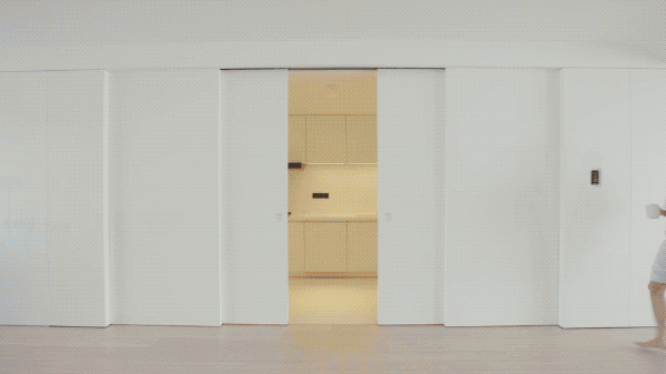 洁癖小哥的200㎡独居豪宅：智能控制家里一切，连狗都是电子的