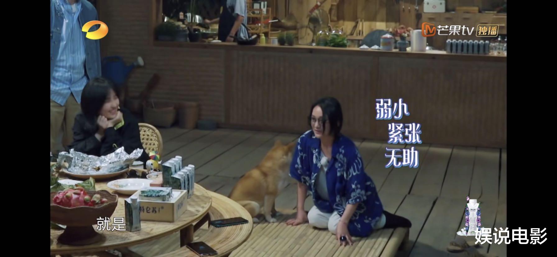 「周迅」张子枫见到周迅和陶虹不一样的反应，让人好奇，难道周迅很凶吗