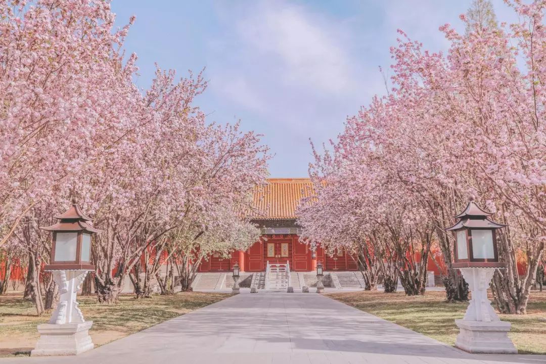 全网爆火的故宫雪景图和猫，是她拍下的。