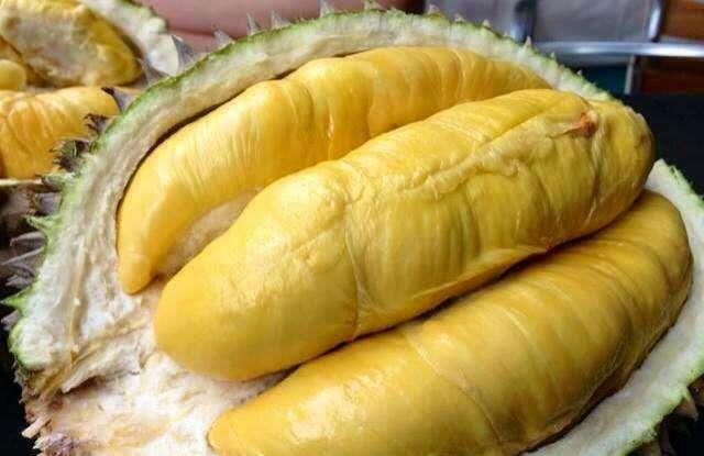 『榴莲』公认“最难剥”几种水果，榴莲上榜，有人愿给你剥一定是“真爱”