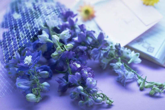 「」农历3月份有贵人支持帮扶，幸福时时在，财旺红发紫的3个属相！