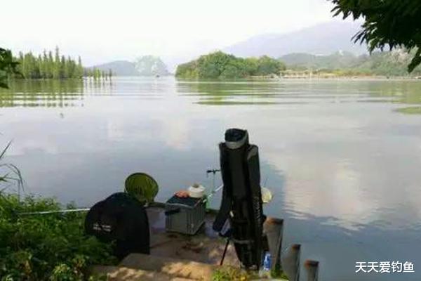 「」夏季野钓的钓位选择之道：气温高的季节，鱼会在这些位置扎堆！