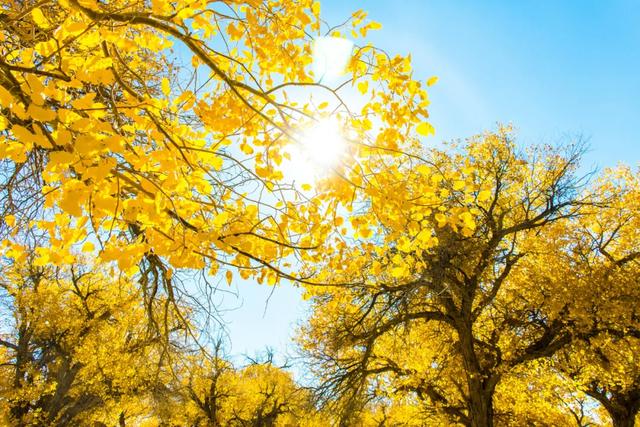 丹东|十条自驾路线“燃爆”金秋，每条都让人疯狂心动，实在是太惊艳！