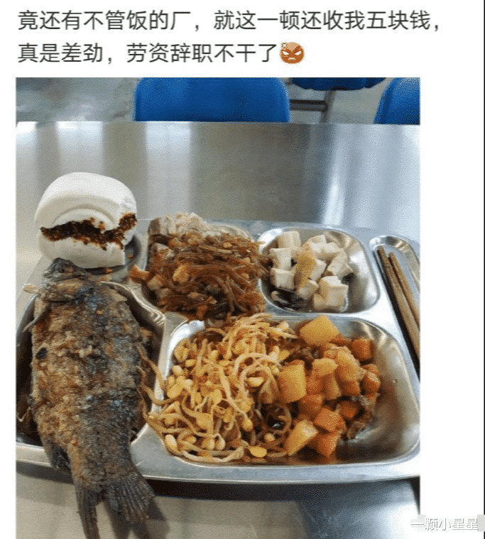 牛蛙|“抓到了几只牛蛙！太好吃了！有点头晕，等睡醒了明天还去！”赖克包？