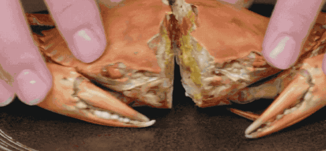 东莞▲《舌尖上的中国》团队又出顶级新片,一集就馋哭我!