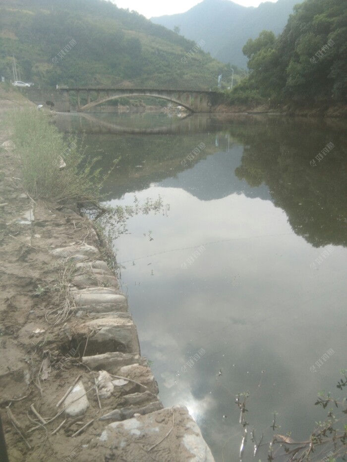 饵料|日昼温差大,鱼儿食欲差,鱼获不尽意