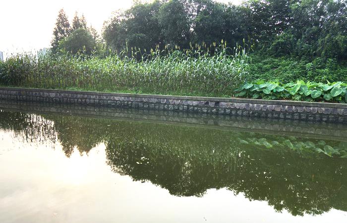 饵料|实用钓鱼心得分享，掌握这些助你十一假期多多钓鱼