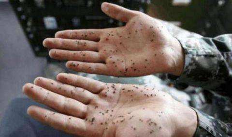 ：世界上最“危险”的动物，种类高达3000种，最密集地就在中国