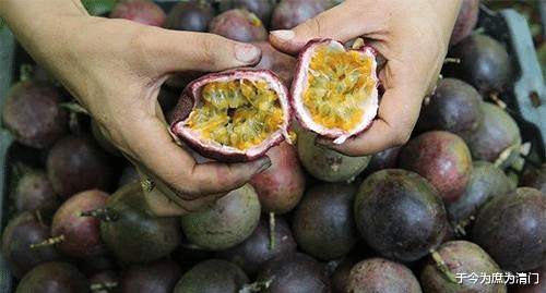 淘宝|离职淘宝“小二”透露:4类商品“投诉率”高,买家只能自认倒霉