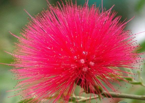 「生肖」6月开始，4属相爱情圆满，收获满满惊喜，走向幸福，走向成功