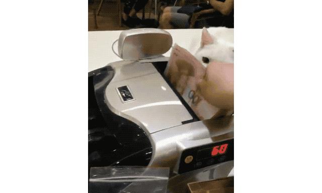 休息一下，享受这些可爱的瞬间