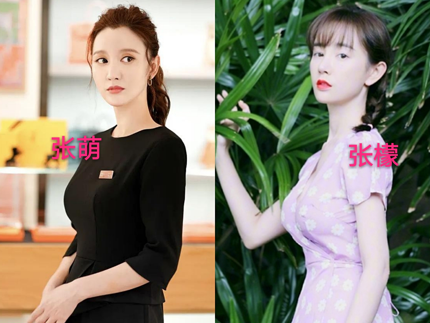 张萌:【圈粉】张萌道歉?事件原因始末完整回顾