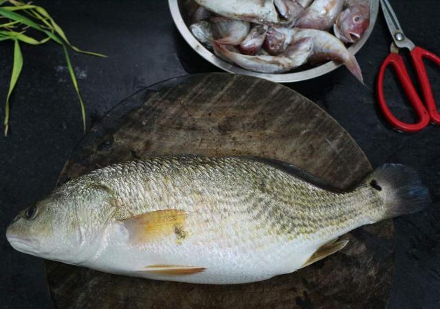 海鱼|5种公认最好吃的海鱼，识货的抢着买，连老板都会给自己留一两条