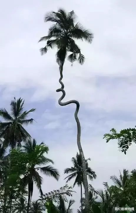 []72张精彩摄影，壮观！难得一见！