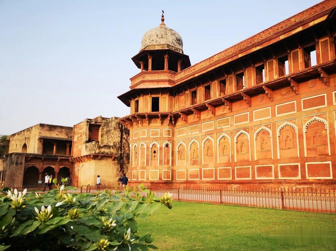 tiktok|【印度研究】张潇予:印度禁用“中国APP”的市场考量