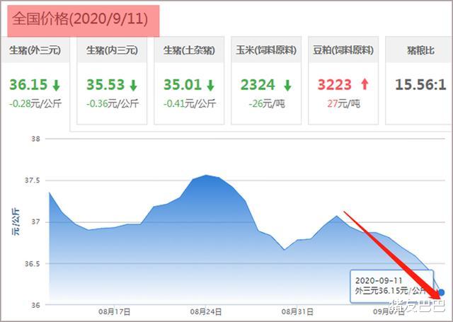 猪友巴巴|一斤猪肉30元，农民感叹“吃不起”！专家：猪肉降价势在必行！