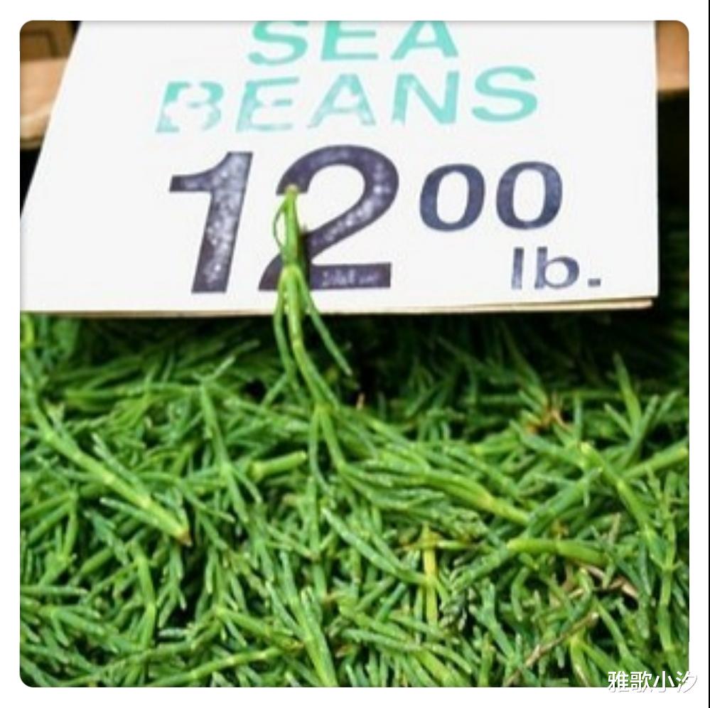 鸡蛋|“有梗无叶”的蔬菜，在我国少有人吃，老外却把它吃成“高端菜”