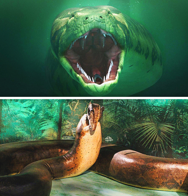 [科学家]这些只能在，传说中听到的动物，真正存在于现实中！