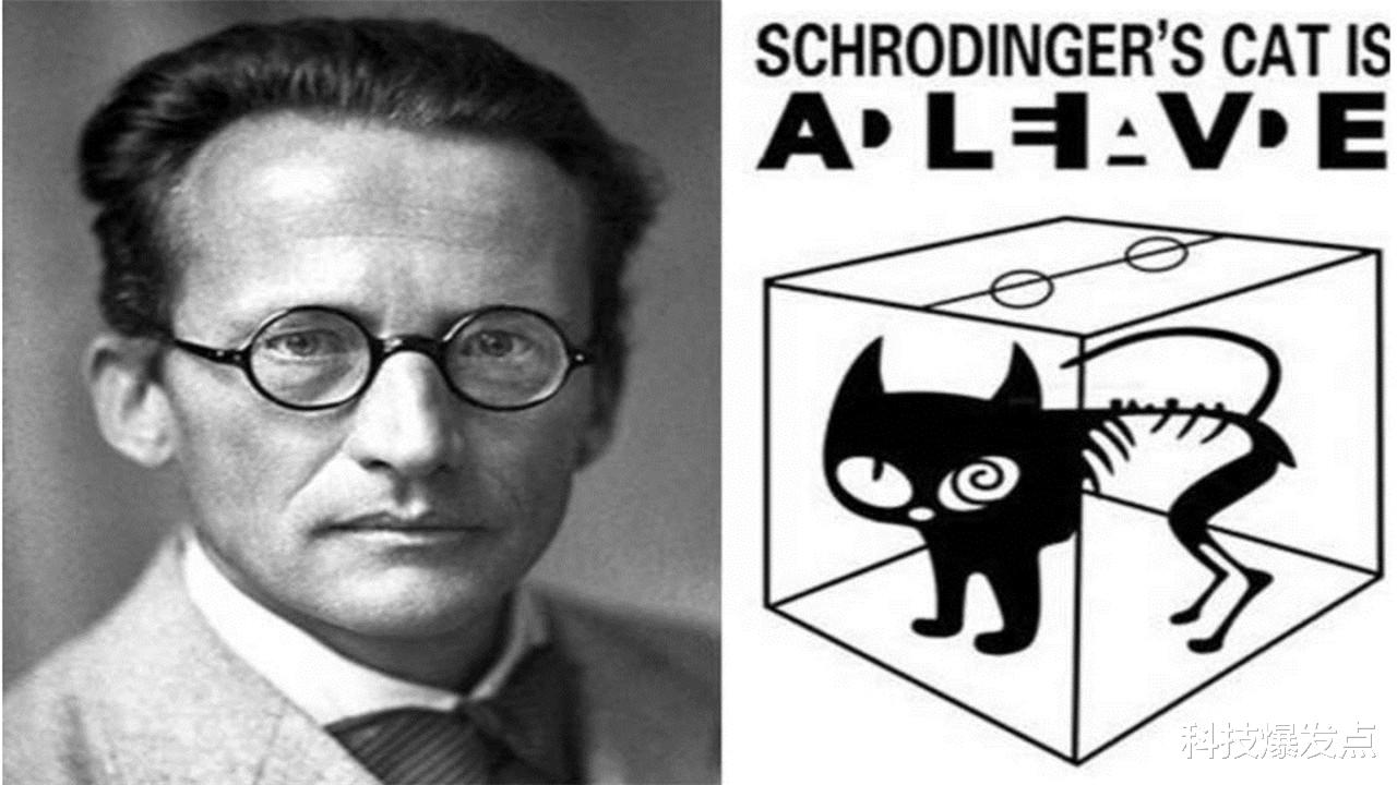 |乌龟与人的较量,只要乌龟先出发,人类就追赶不上它的速度?