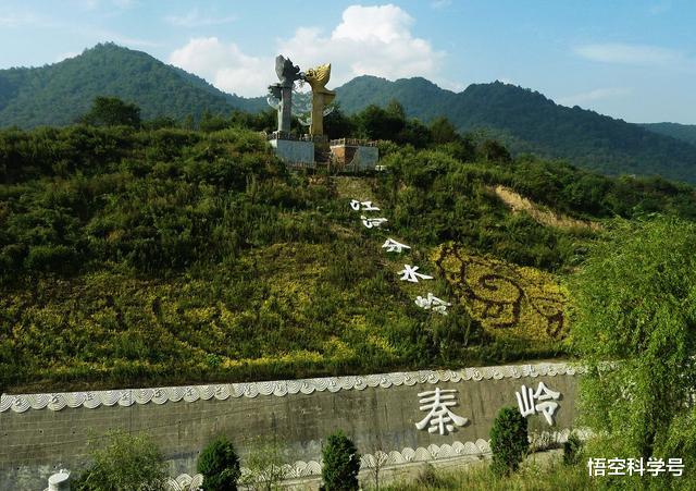 ##秦岭最大的蛇有多大？