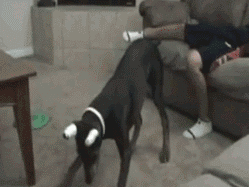 霍成|护士姐姐，要不是因为你长得好看，我能让你给我霍霍成这样吗！