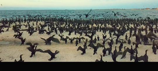 #空间站#这部国内最好的科幻片，还没看你就out了！