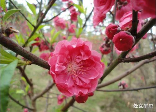 『生肖』7月2号,喜迎财神,3生肖迎来一波“大喜事”事业高升,赚大钱