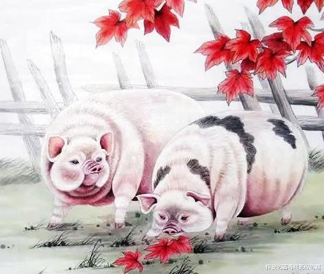 生肖|今时今日不再受苦的3生肖，9月登高，10月致富，喜悦天天有