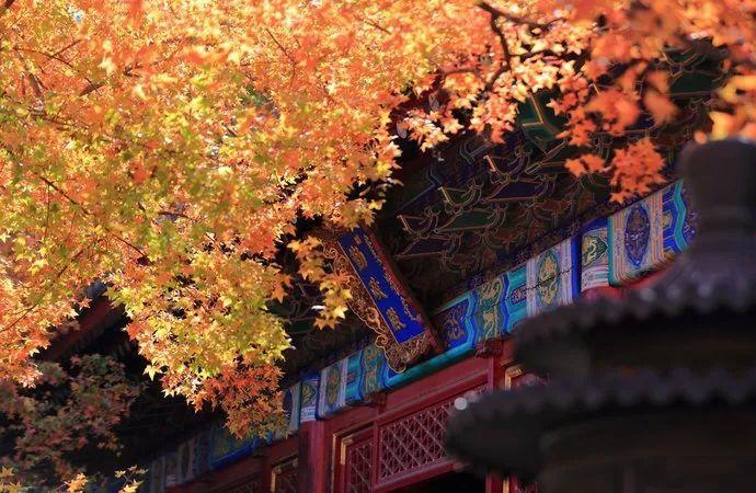 『林芝』中国15条自驾游，每一条都值得去！