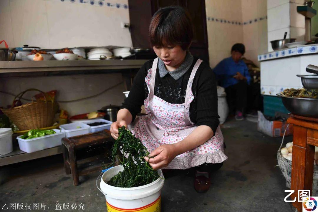 「农家乐」深山夫妻做农家乐数年，用泉水煮饭靠野菜撑场子，一年挣十多万