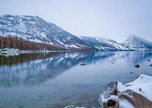 [喀纳斯湖]喀纳斯湖再现“水怪”，牛羊被拖走消失，专家终于找到真相！