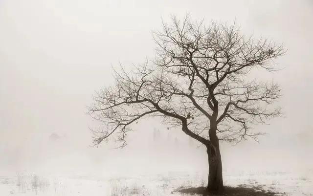 「交易」如果手中只有20万，牢记“顺势、待机、控仓”！建议每天读一遍