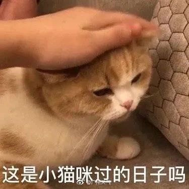 龙岗发布|热热热！周四入伏，长达40天！至于台风……