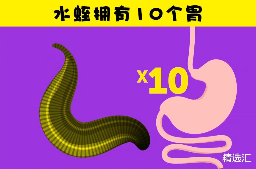 ##虽然很有趣，但并不是每个人都听说过的7个冷知识