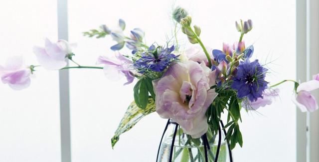 运势|8月底,财运兴隆,钞票八方来,3生肖喜从天降,运势一旺再旺