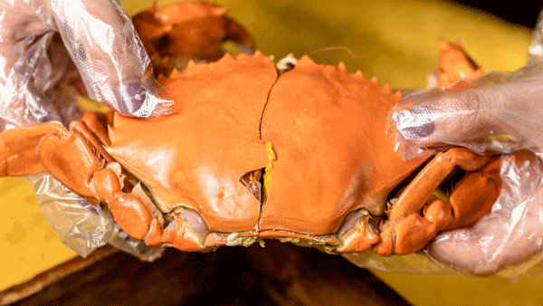 食材|全世界zui顶级的食材合集，你吃过几种，我竟然就吃过一种？