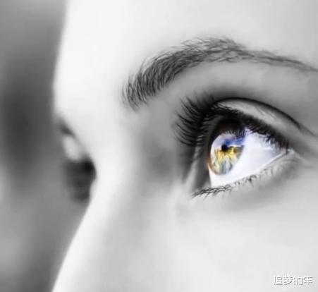 科学家：科学家发现人类进化的7大步骤, 推测出未来10万年后的人类样貌