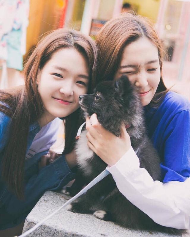 美国@双胞胎遭遗弃，一个在中国长大，一个留在美国，20年后差距明显