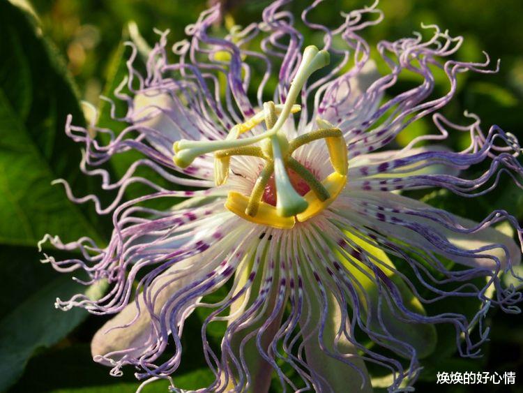双子座|八月份过后，牵手真爱，桃花运来，幸福常在的四大星座！