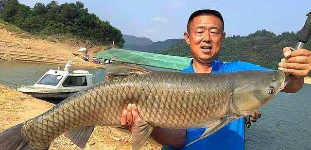 「」温度与钓鱼有啥关系？弄懂这些关键问题，让大鱼咬钩不再难