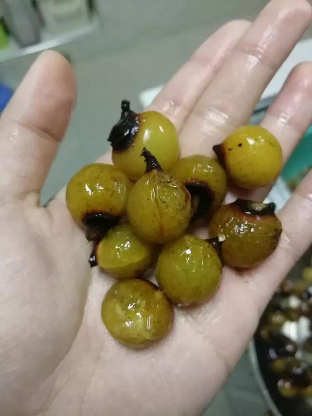 『文玩』这7种文玩，很多玩家都没玩过，但它们却是最早的“小众文玩”！