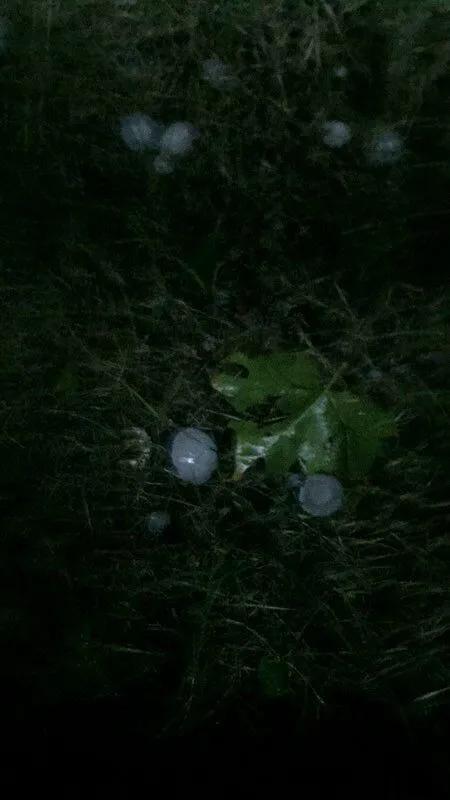 山东商报|果然!这朵刷爆临沂朋友圈的“蘑菇云”,并不简单…