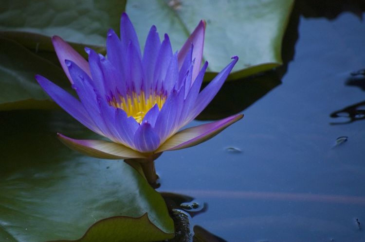 生肖|8月中旬开始赚钱如流水，事业畅通无阻步步高升，数钱到手软的4大生肖！