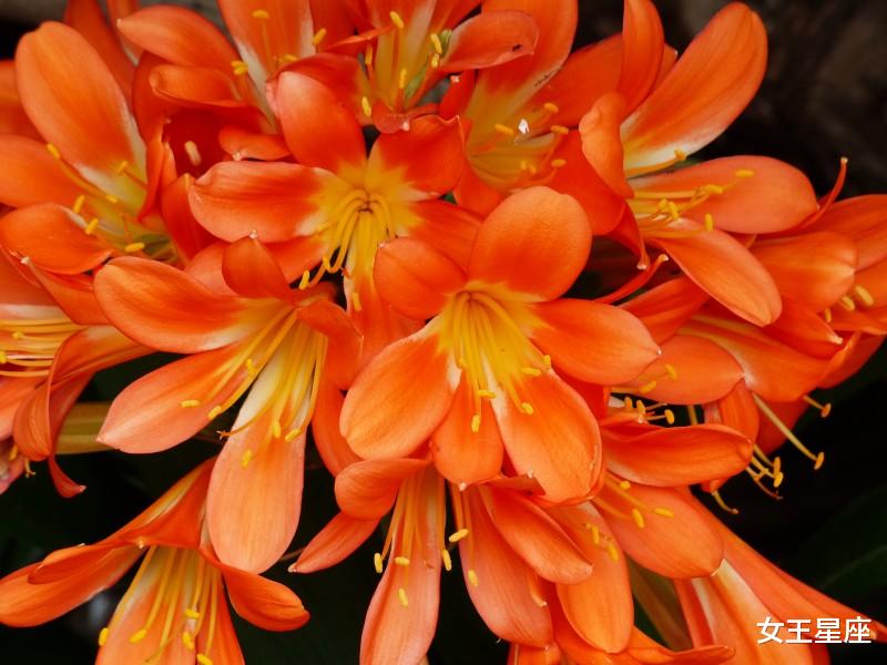 「」7月2号,贵人愿意提携的3属相,容易“发家致富”事业发达