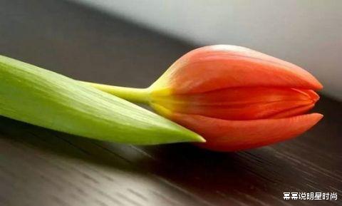客厅不能乱养“花”，这种花被称为“破财花”，现在才知道！