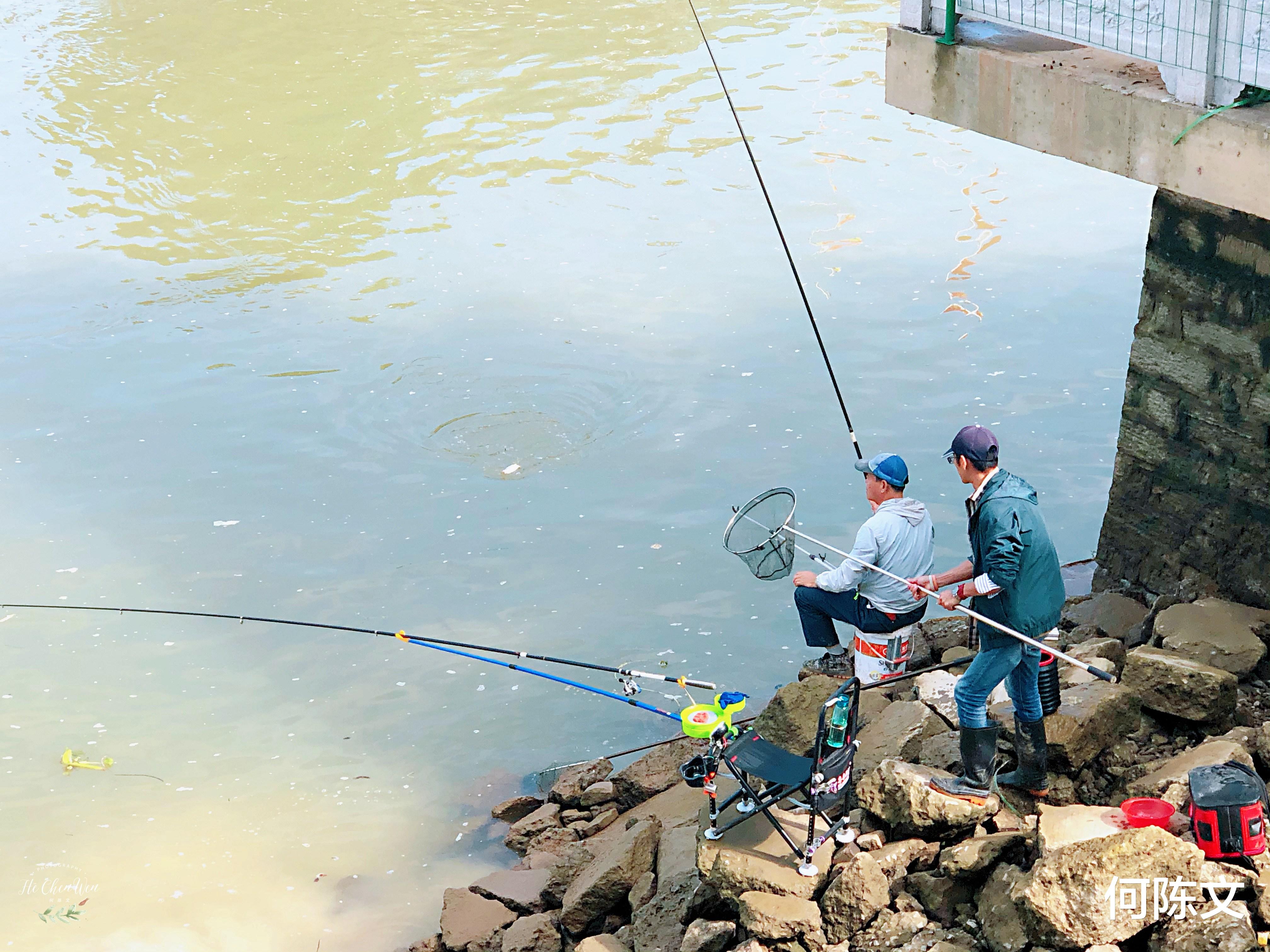 「闽江」闽江畔的这个地方,钓友都喜欢来钓鱼,而且每次都是收获满满